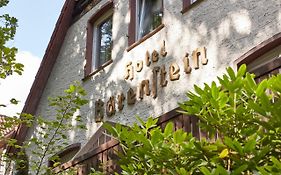 Waldhotel Baerenstein